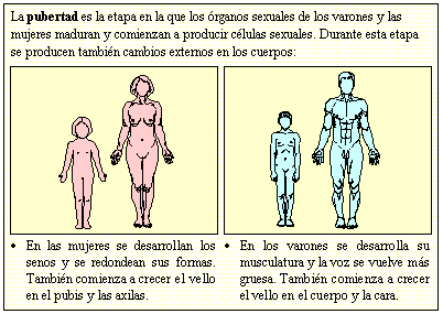 Funci�n de reproducci�n